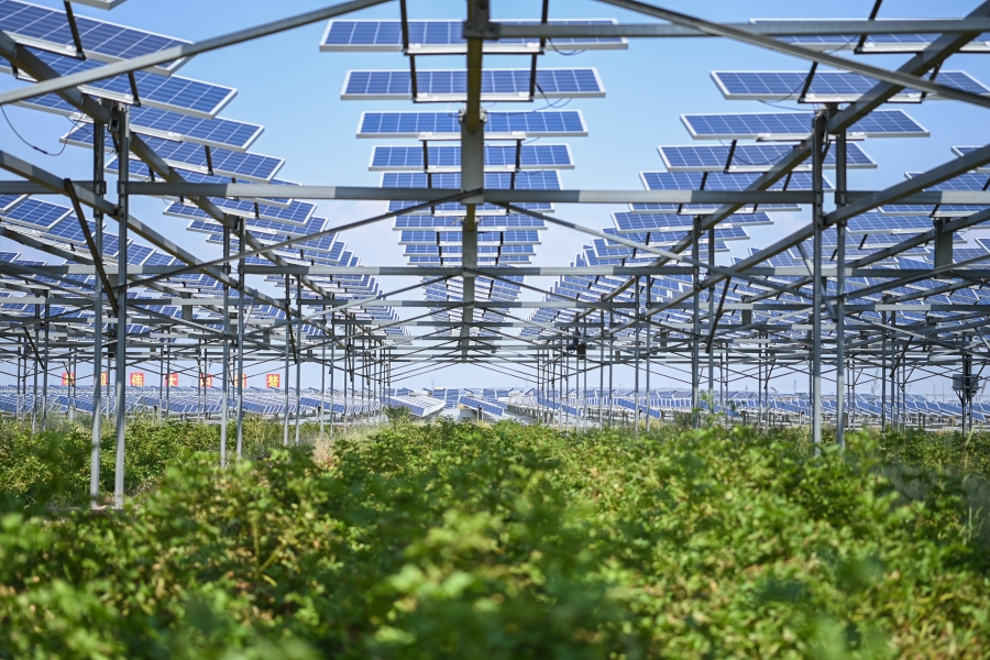 圖5  三峽集團在庫布齊沙漠腹地繪就沙漠生態治理與綜合能源高效利用新畫卷